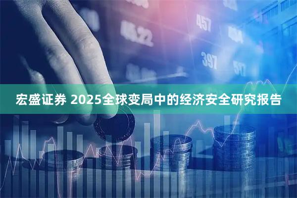 宏盛证券 2025全球变局中的经济安全研究报告