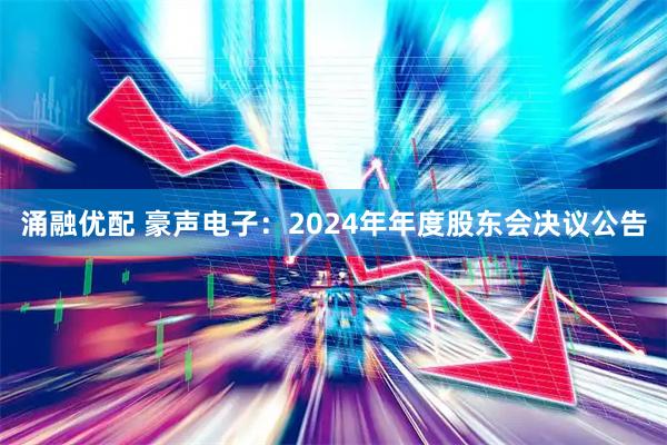 涌融优配 豪声电子：2024年年度股东会决议公告