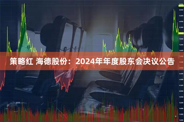 策略红 海德股份：2024年年度股东会决议公告
